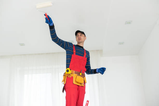 Professional Drywall and Painting Service in Moreland, ID